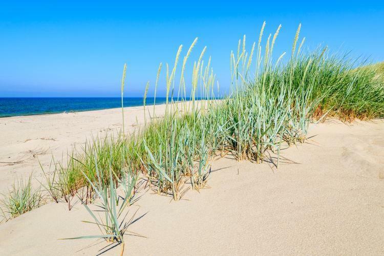 Luxury Apartament B 203 Polanki Park Basen&Spa Kołobrzeg Exteriör bild